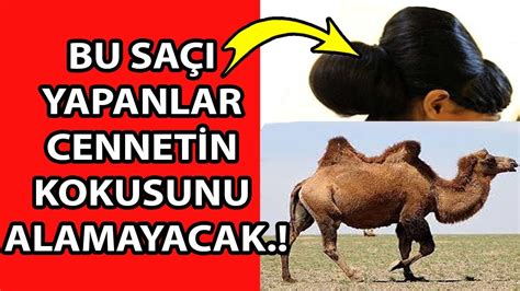 Deve hörgücü saç modeli